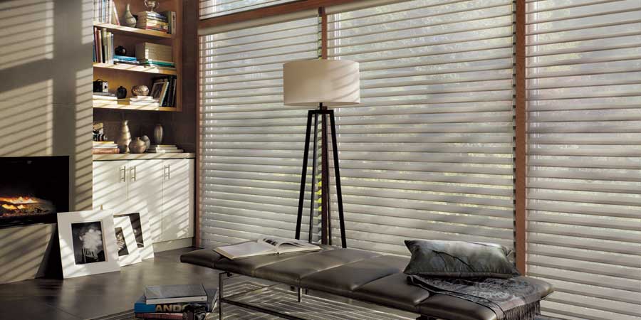 Windows Treatment Blinds