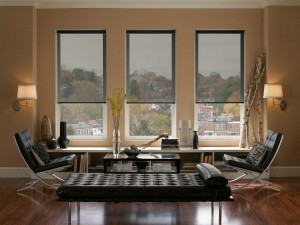 window blinds at home